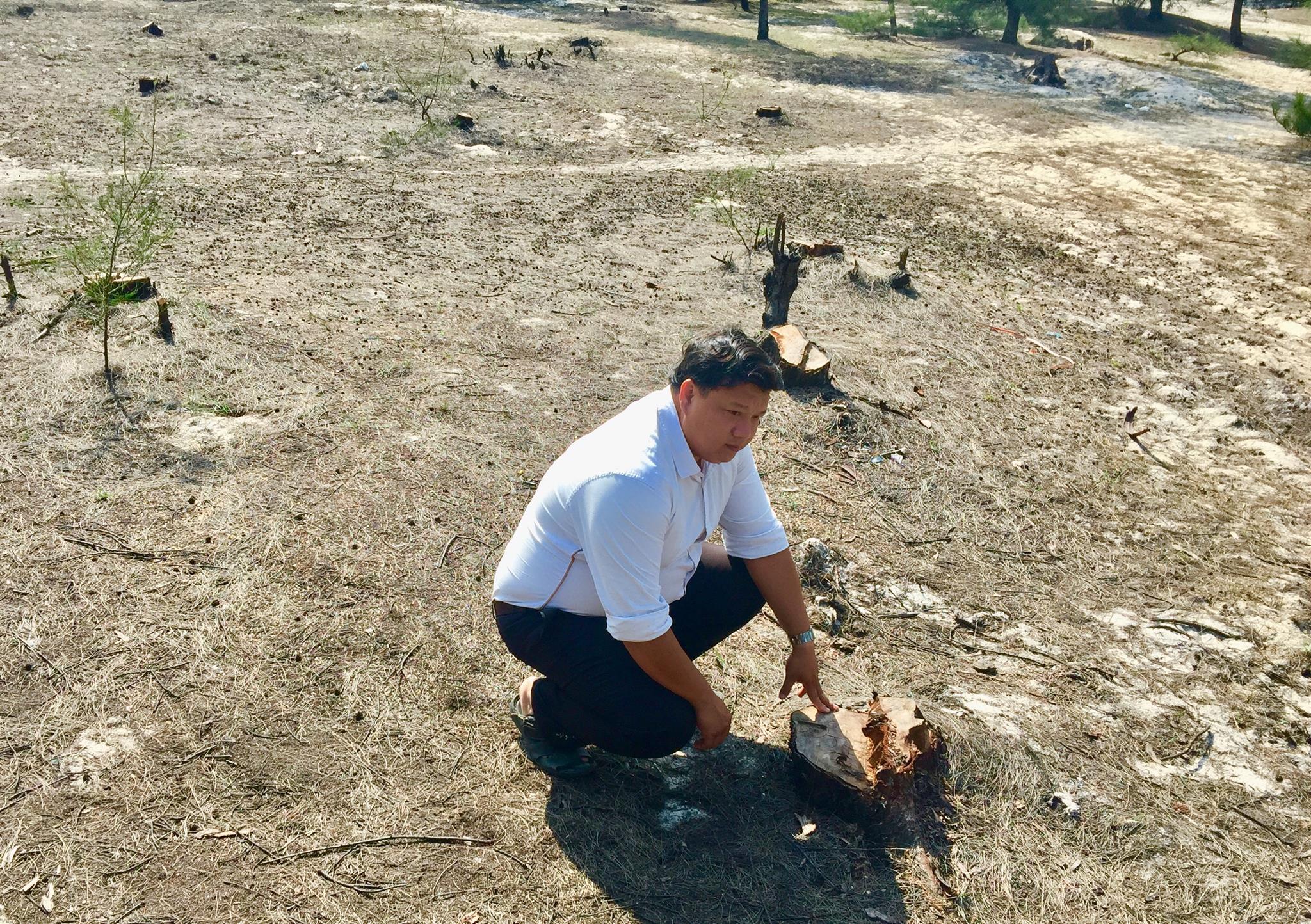 Provincial People’s Committee has given approval for project for restoration and sustainable management of protective forests