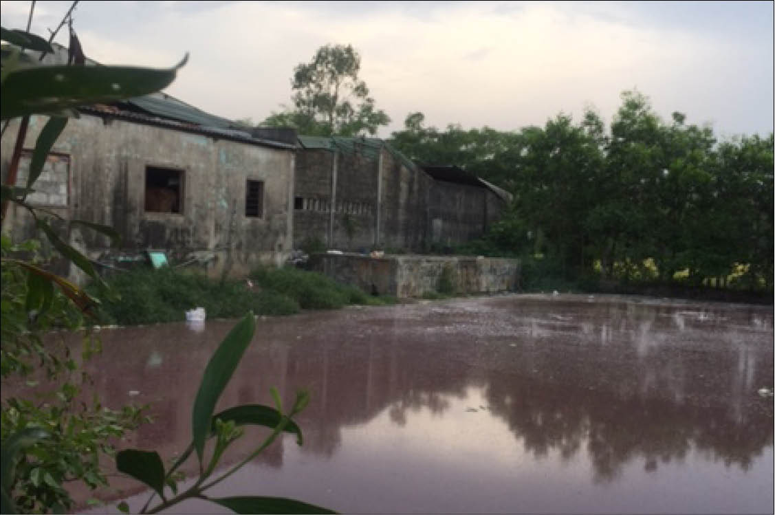 Lò mổ gia súc gây ô nhiễm