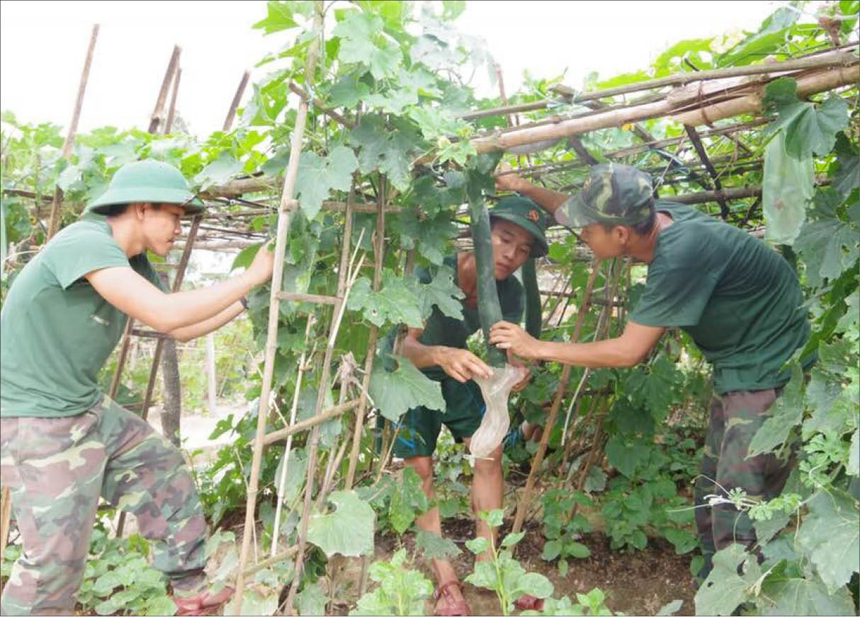 Để có bữa ăn an toàn, chất lượng