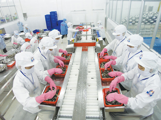 Trung Quốc tạm ngưng nhập tôm đến tháng 9