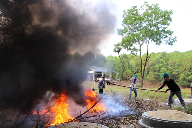 Gần 700 người tham gia diễn tập phòng cháy chữa cháy rừng