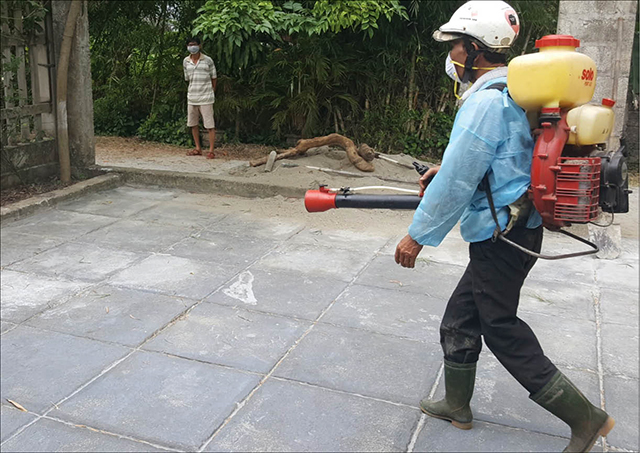 “Không có bọ gậy sẽ không có sốt xuất huyết”