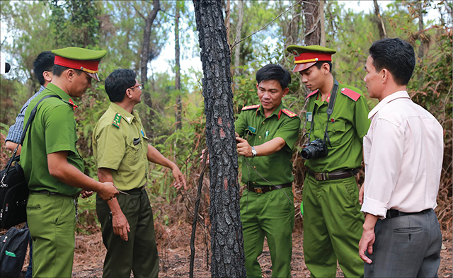 Tập trung điều tra nguyên nhân các vụ cháy rừng ở Hương Thủy