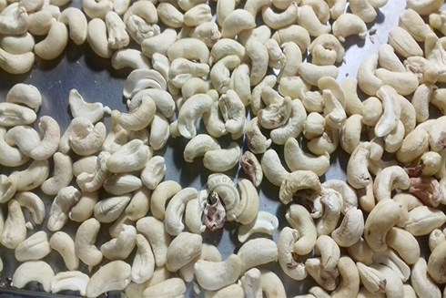 Xuất khẩu điều tăng trưởng mạnh, dự báo thị trường tiếp tục thuận lợi