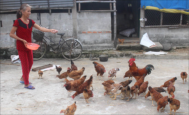 Tiếp “lửa” cho người khiếm thị