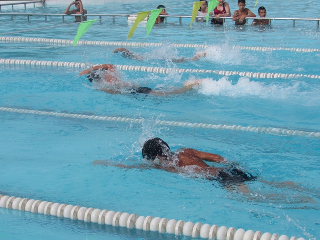 70 vận động viên nhí tham gia giải bơi “Đường đua xanh”