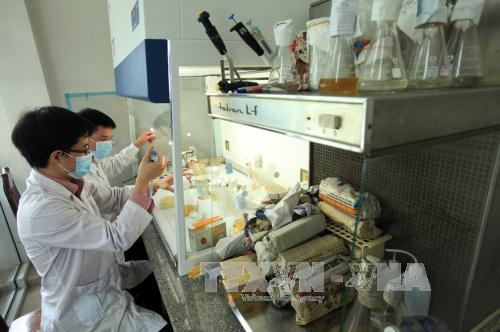 Doanh nghiệp Việt Nam vượt rào để đẩy mạnh xuất khẩu nông sản sang Hàn Quốc