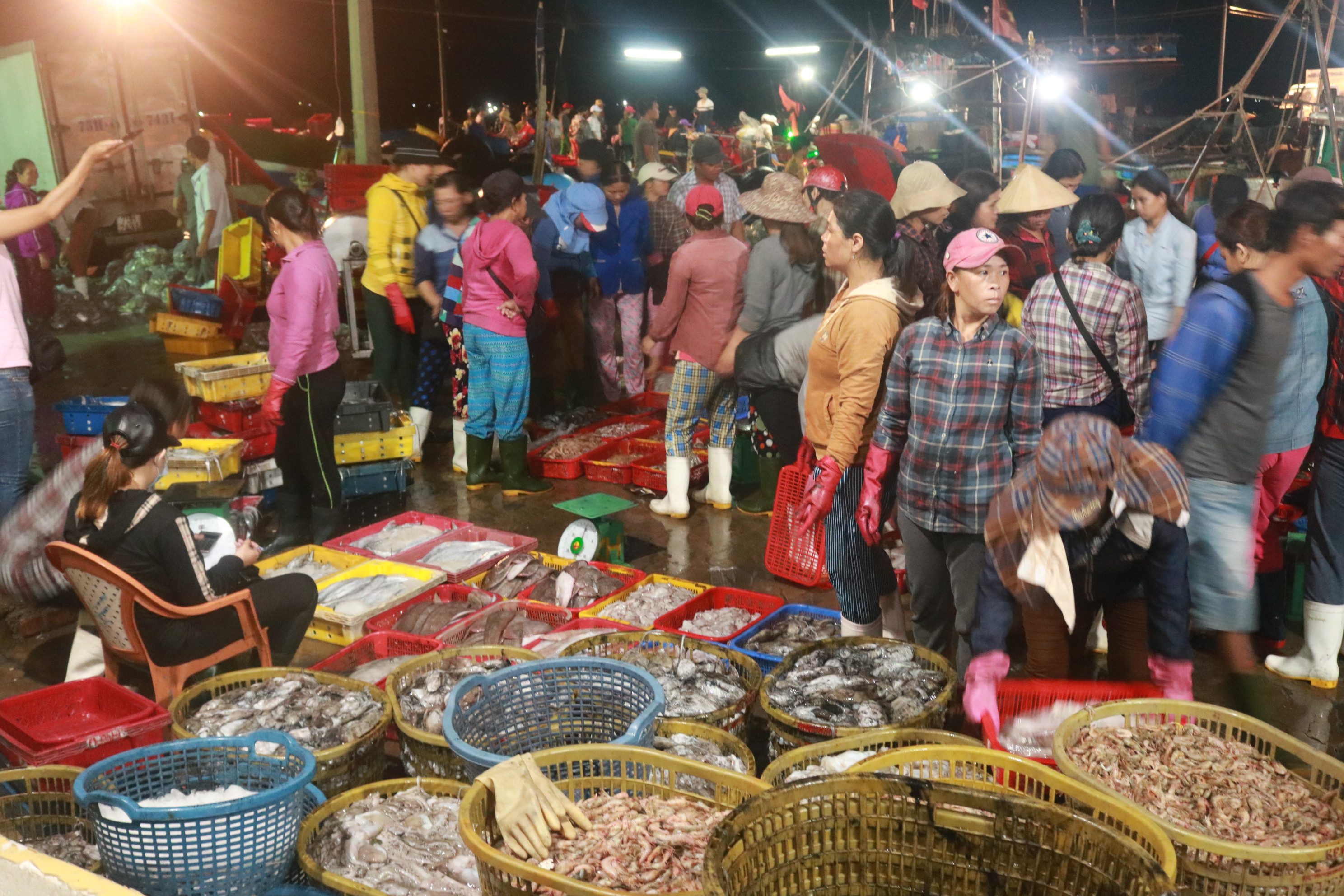 Sớm mai nơi cảng cá Thuận An