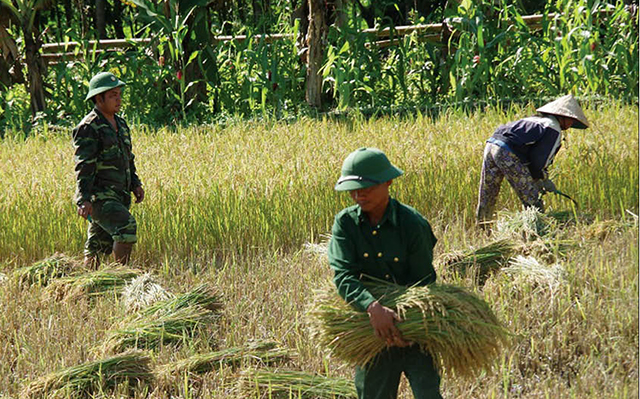 Mùa vàng bên dãy Ka Lô