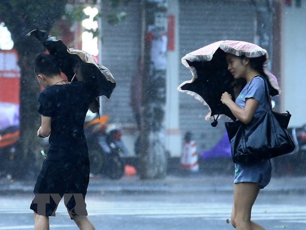 Bão Sơn Tinh đã tràn vào đảo Hải Nam của Trung Quốc