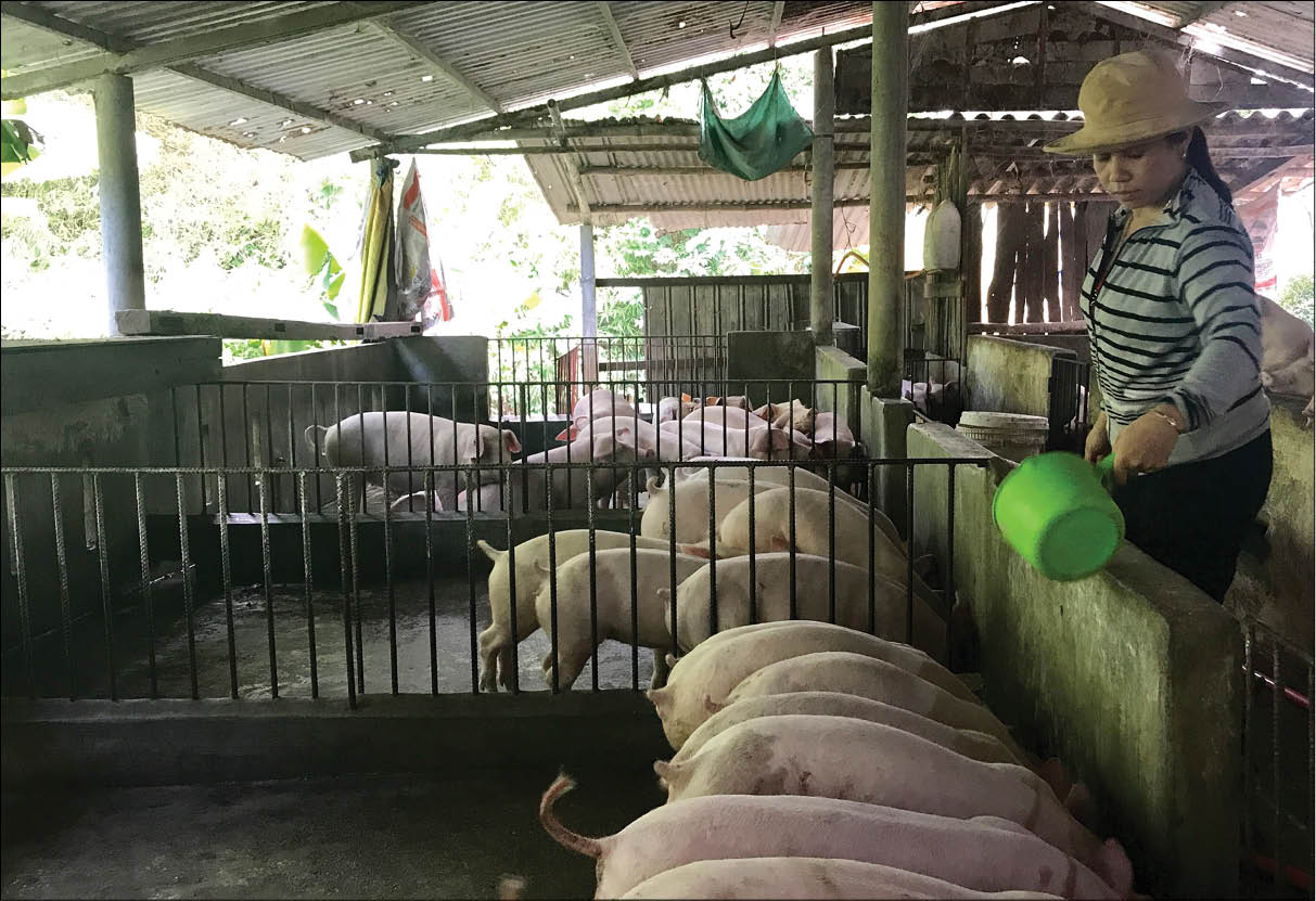 Chia sẻ và gắn bó