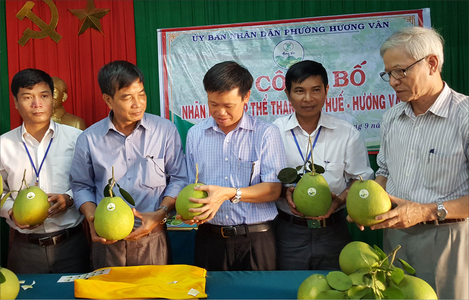 Thận trọng khi ồ ạt trồng thanh trà