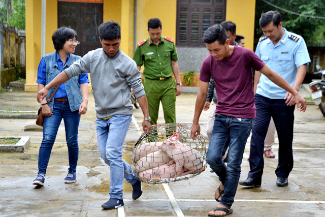 Hỗ trợ con giống cho thanh niên nghèo xã Hồng Bắc