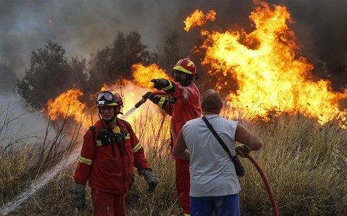 Hy Lạp kêu gọi hỗ trợ quốc tế để đối phó cháy rừng nghiêm trọng