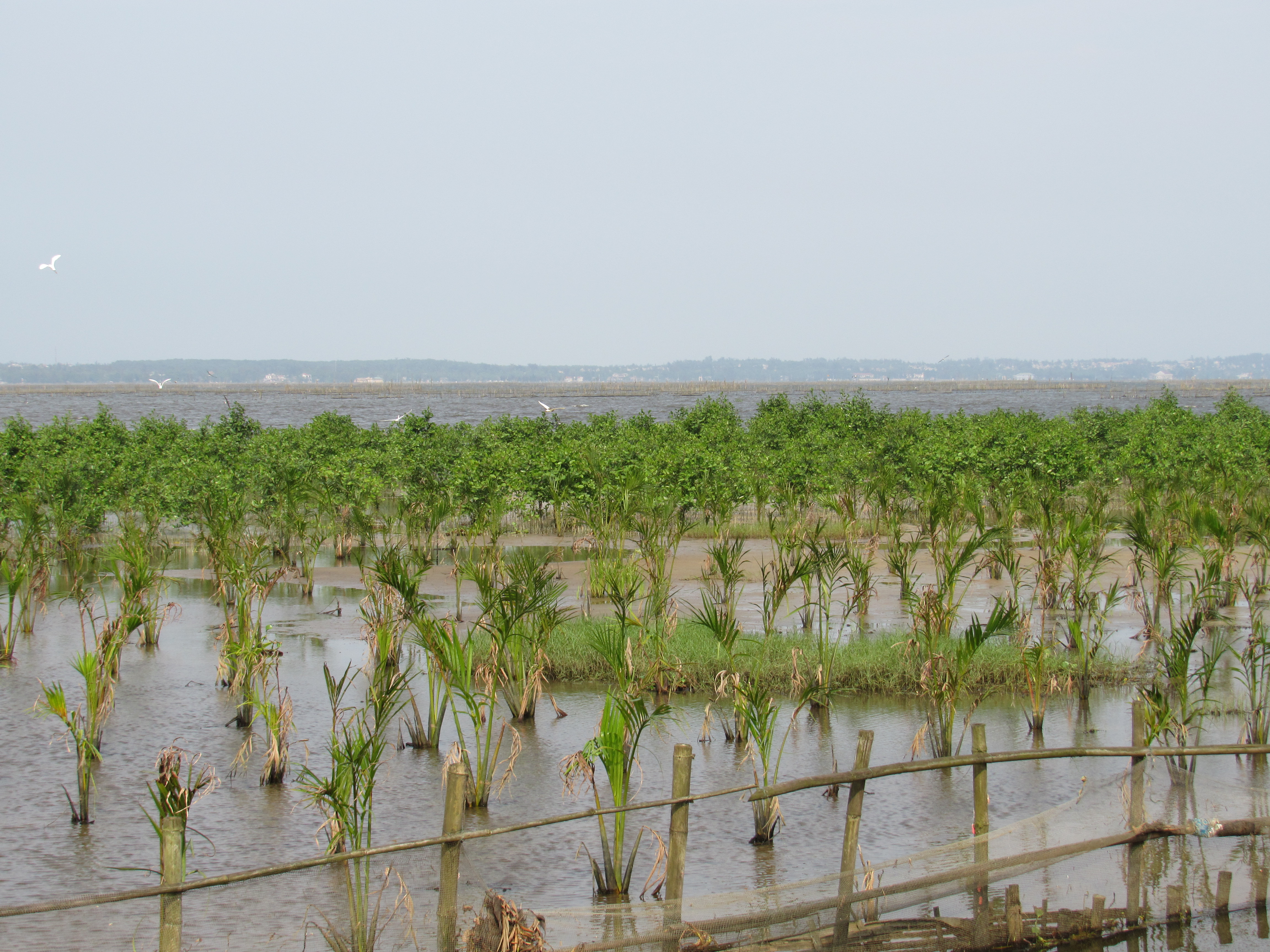 Wetlands Conservation and Development photo contest