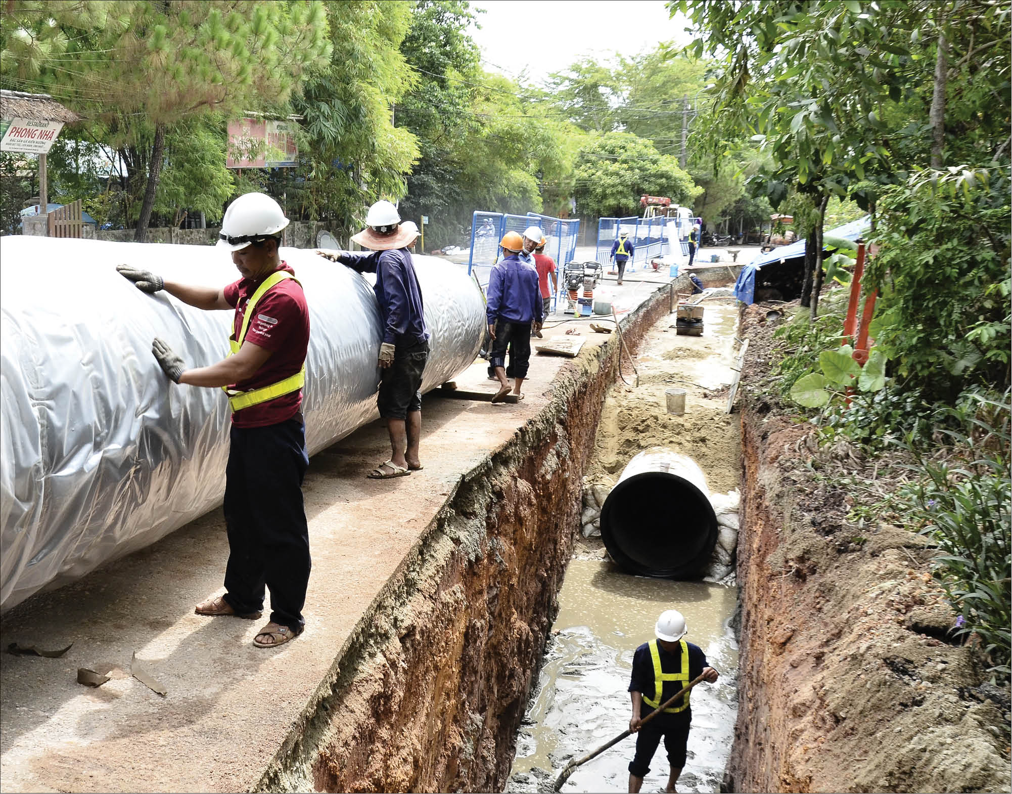 Đảm bảo an toàn và ngon bền vững
