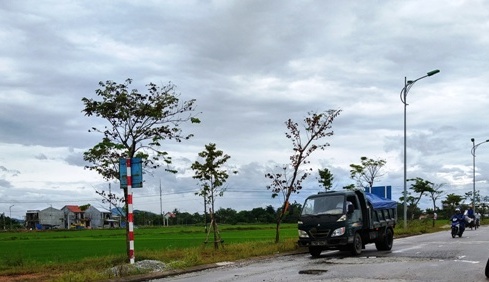 Tổ chức lựa chọn được 22 gói thầu