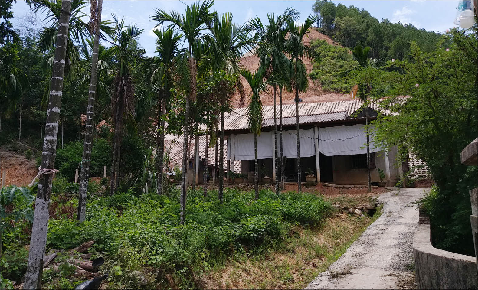 Thấp thỏm giữa hai tuyến đường