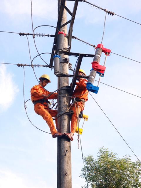 Triển khai phương án khắc phục tồn tại đường dây 35kV