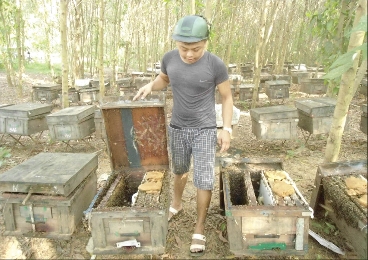 Theo những cánh ong