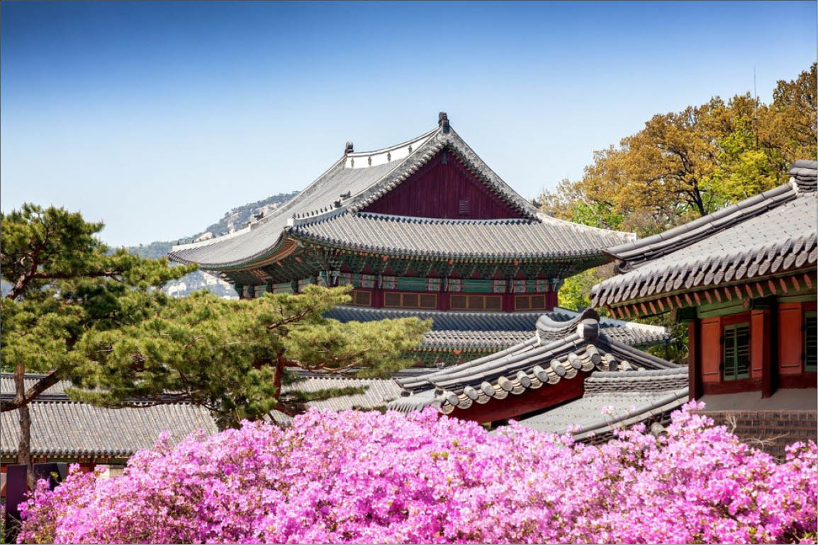 Cung điện Changdeokgung triển khai tour du lịch ban đêm