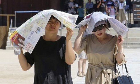 Nắng nóng kỷ lục trong hơn 100 năm qua ở Hàn Quốc làm 42 người chết