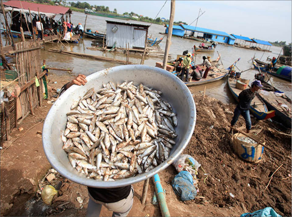 Bảo vệ nguồn nước sông Mekong - vấn đề then chốt của khu vực
