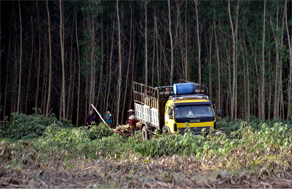 Không có việc kê khai khống