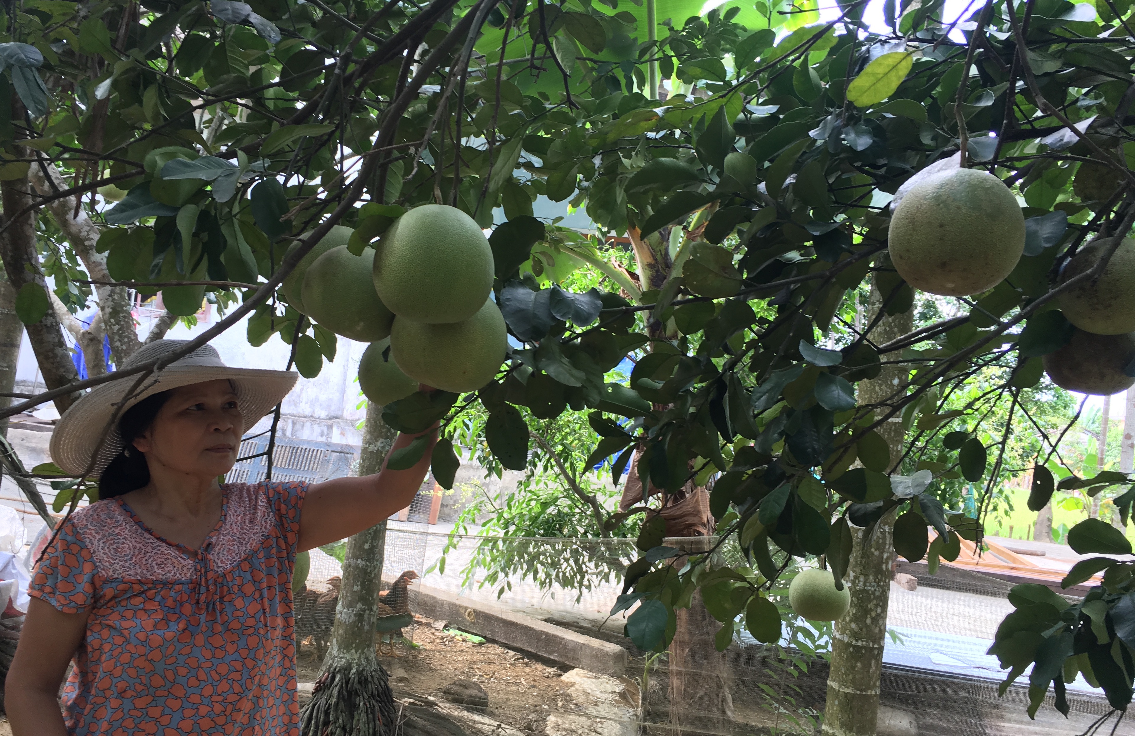 Festival Thanh tra – Taste of Hue 2018 will have many attractive activities