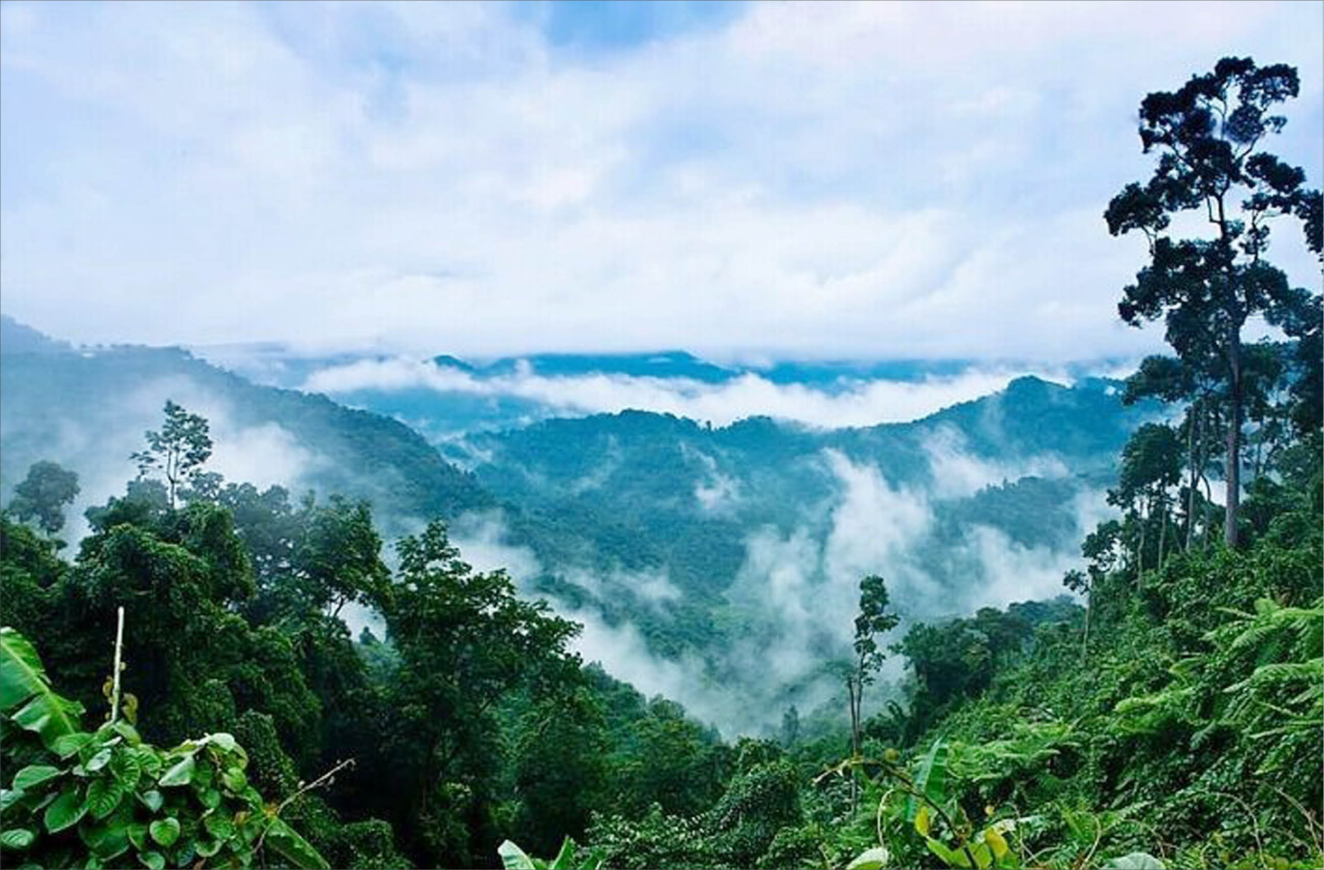 “Trekking” rừng nguyên sinh