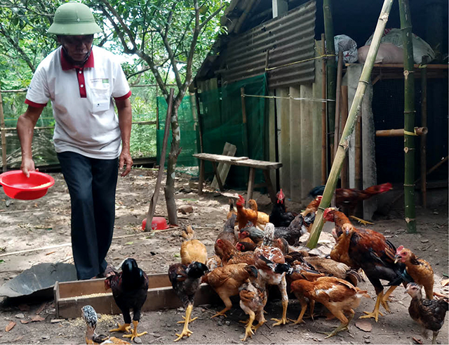 Cựu binh dân vận khéo