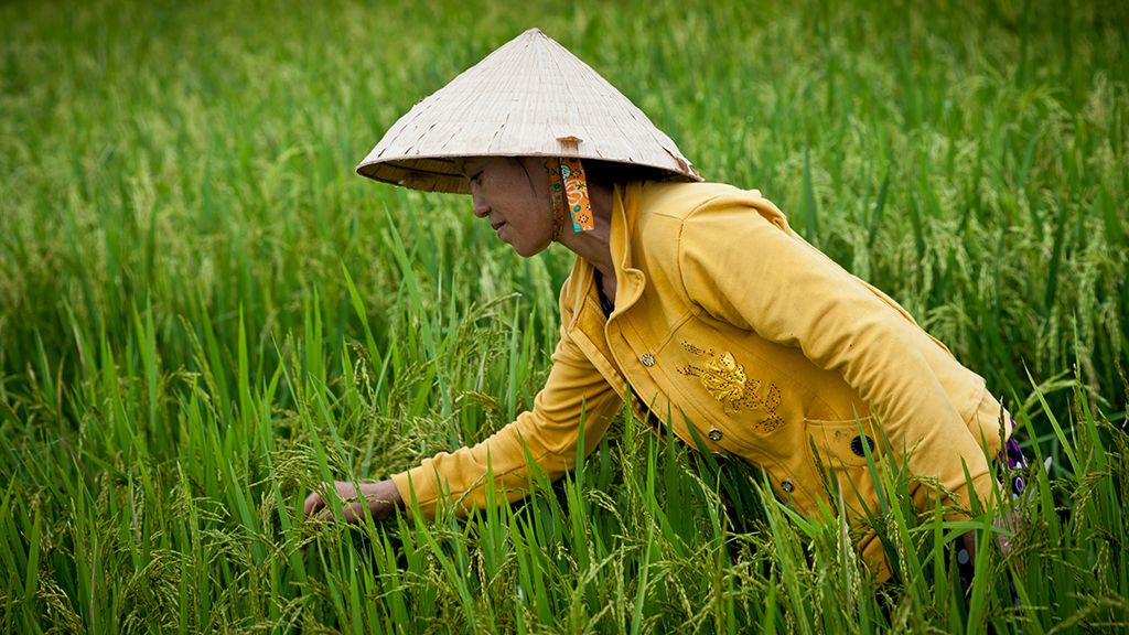 ADB và Lào ký kết thỏa thuận phát triển nông nghiệp