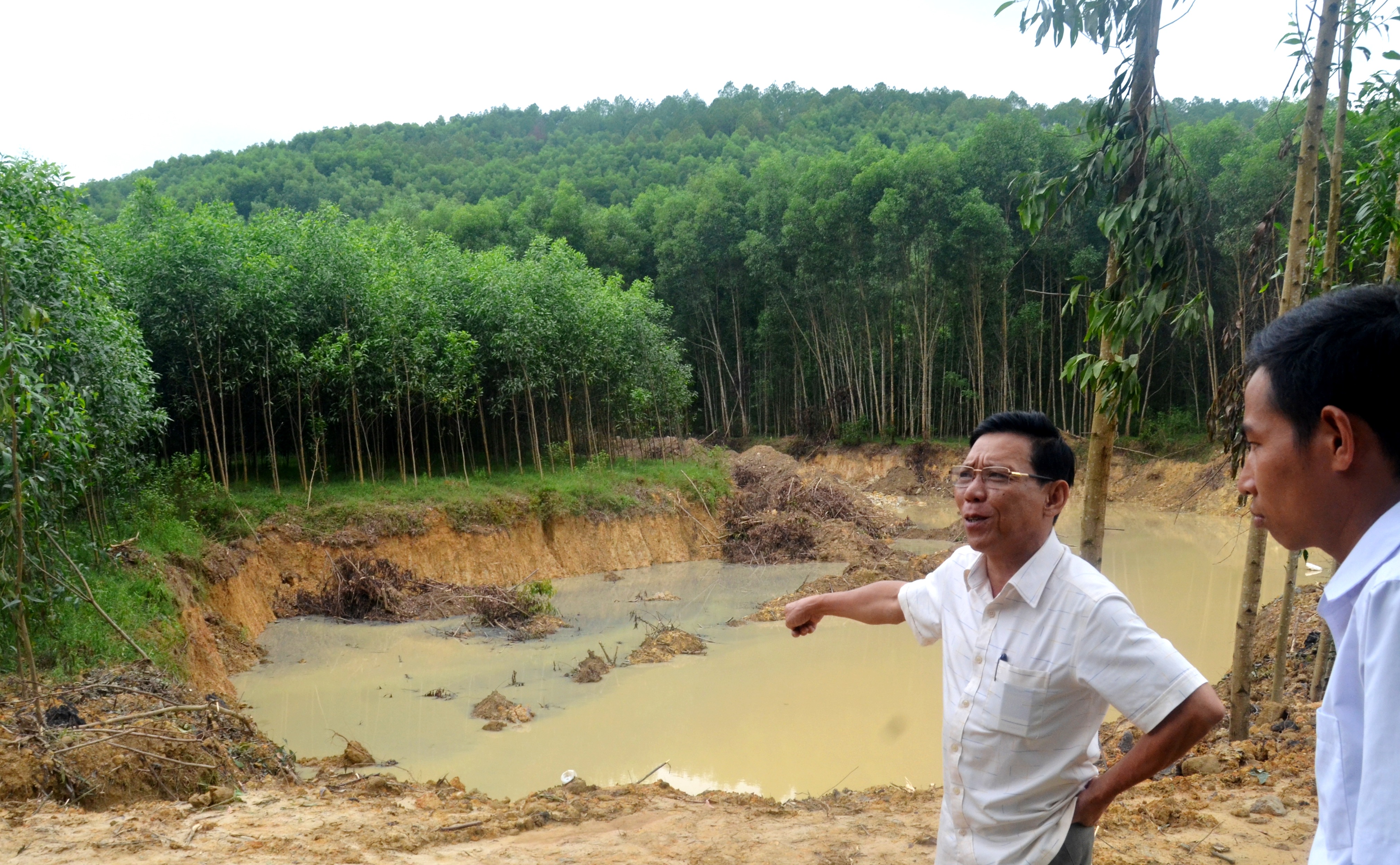 Vụ phá rừng tràm để đào đất sét Sẽ xử lý vi phạm ở mức cao nhất