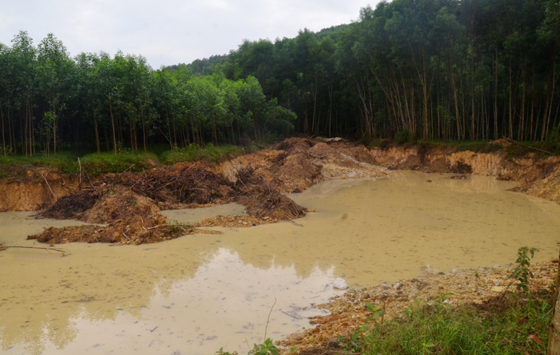 Ủng hộ người dân phát triển kinh tế, nhưng phải đúng luật