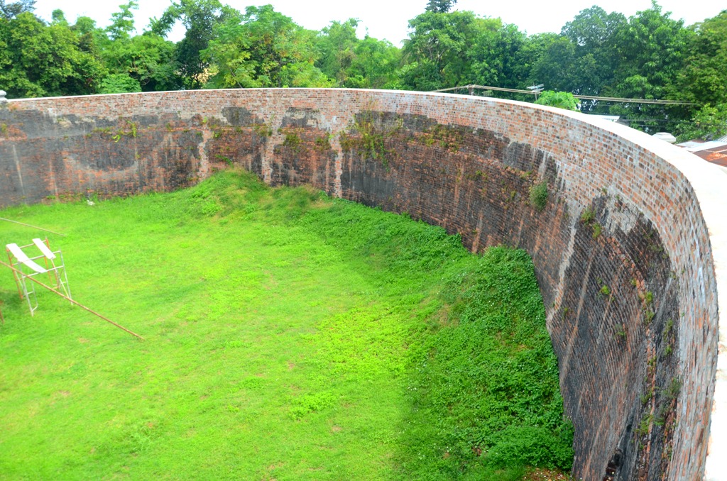 Ngắm Hổ Quyền – Voi Ré trong quá trình bảo tồn