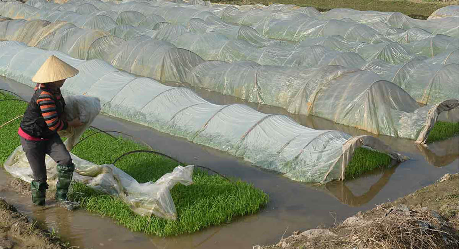 ASEAN Việc làm đứng trước thách thức từ trí tuệ nhân tạo