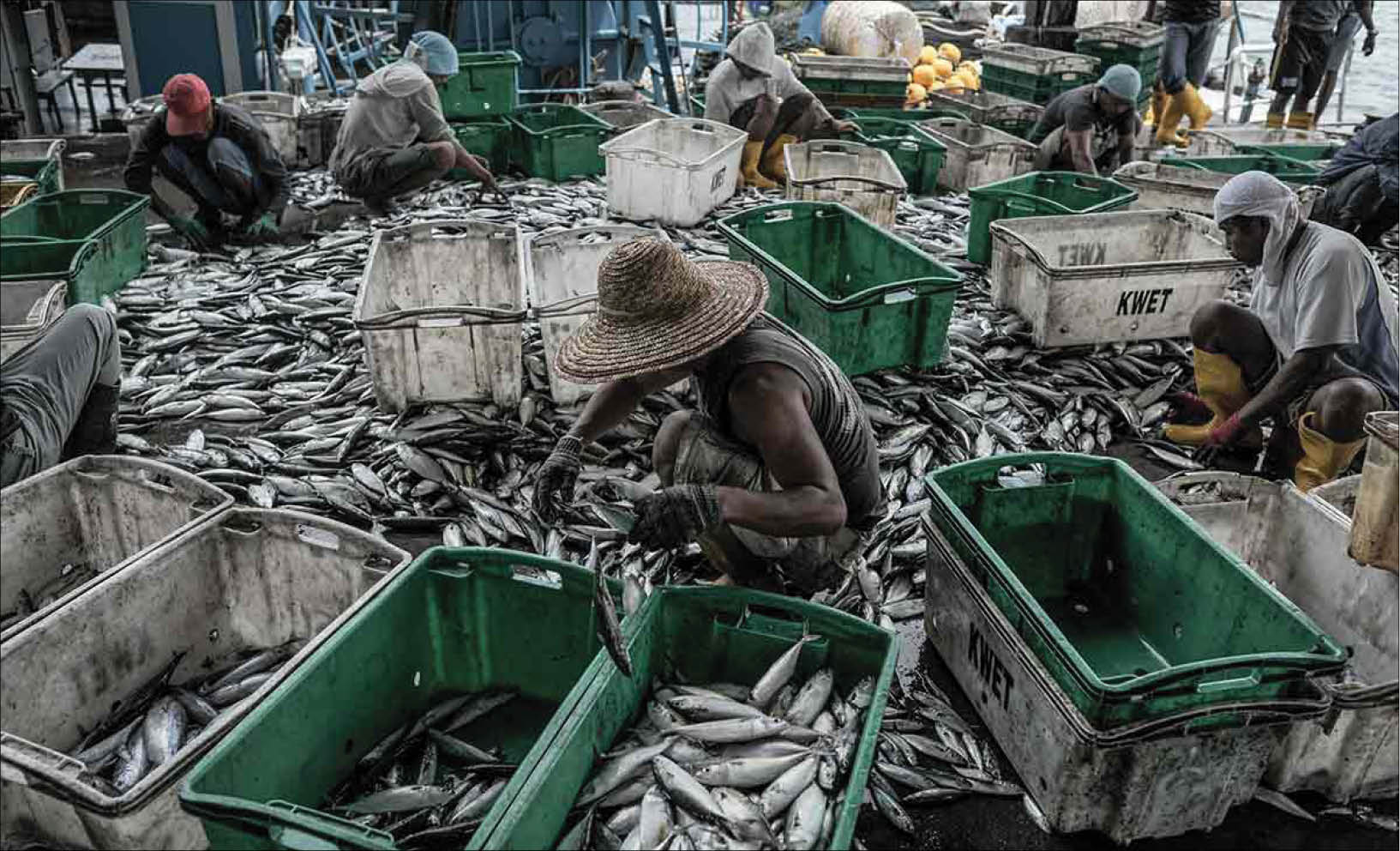 ASEAN và mối đe dọa từ nạn đánh bắt cá quá mức