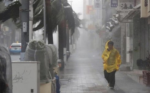 Cập nhật bão Trami tại Nhật Bản Đã có thiệt hại, 50 người bị thương