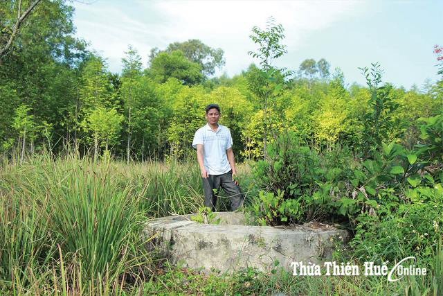 Tìm lại chùa Khoai