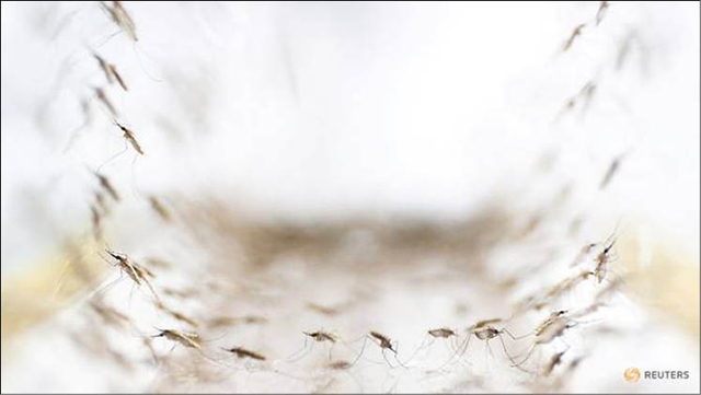 Hãng sơn Nhật Bản hỗ trợ Zambia xóa sổ bệnh sốt rét vào năm 2021