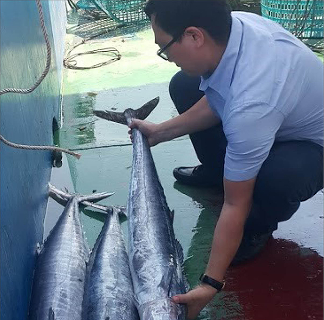 Hỗ trợ nhiên liệu cho tàu đánh bắt xa bờ