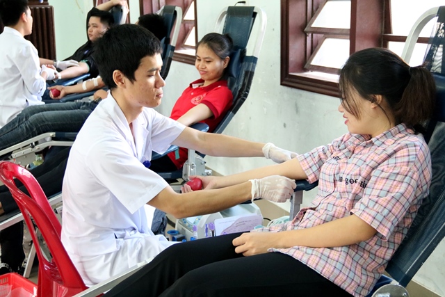 800 sinh viên Trường ĐH Nông lâm tham gia hiến máu tình nguyện