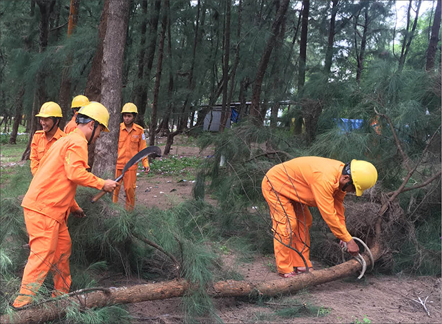 An toàn lưới điện trước mùa mưa bão