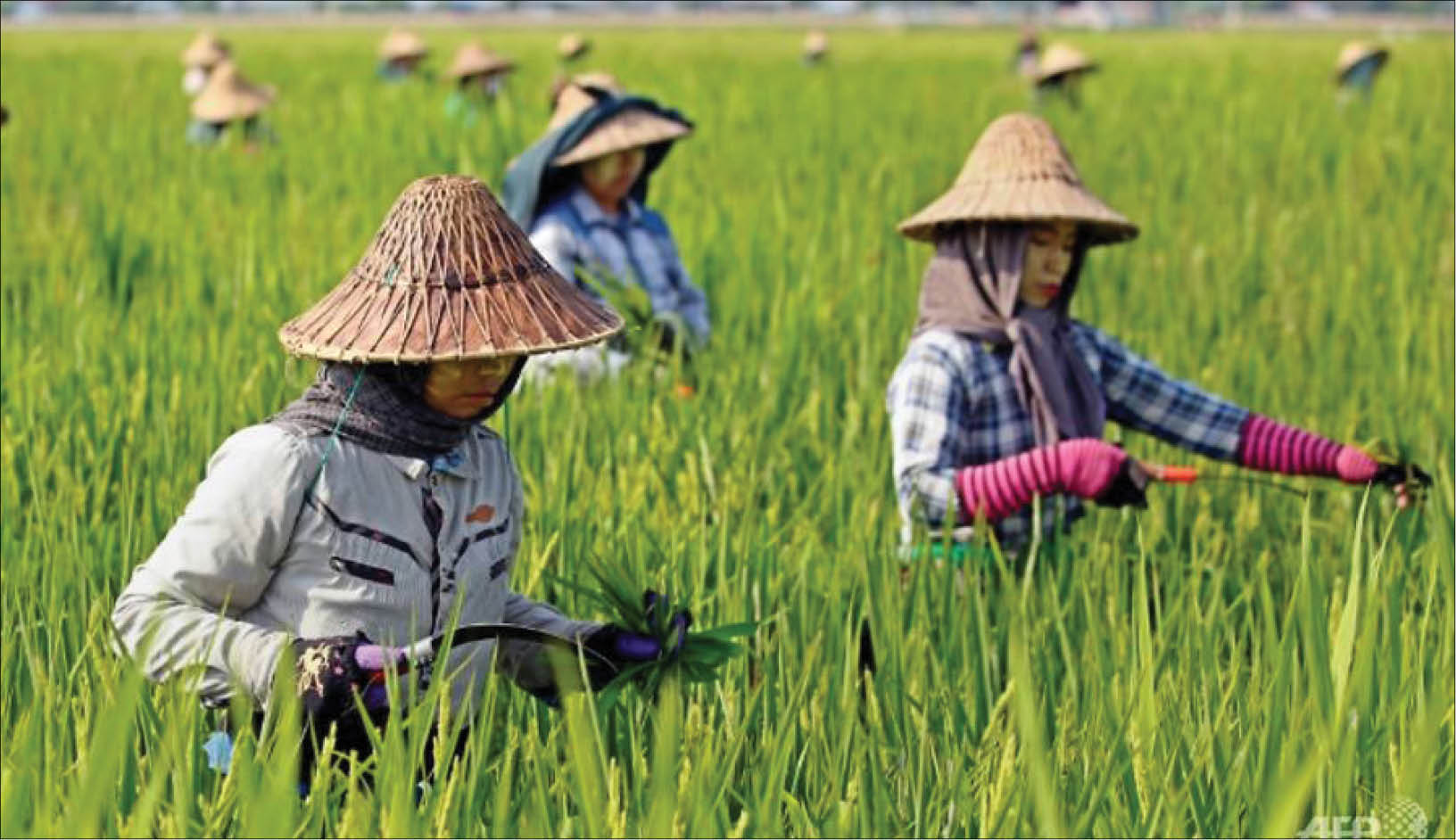 Các nền kinh tế ASEAN “mướt mồ hôi” vì nhiệt độ tăng