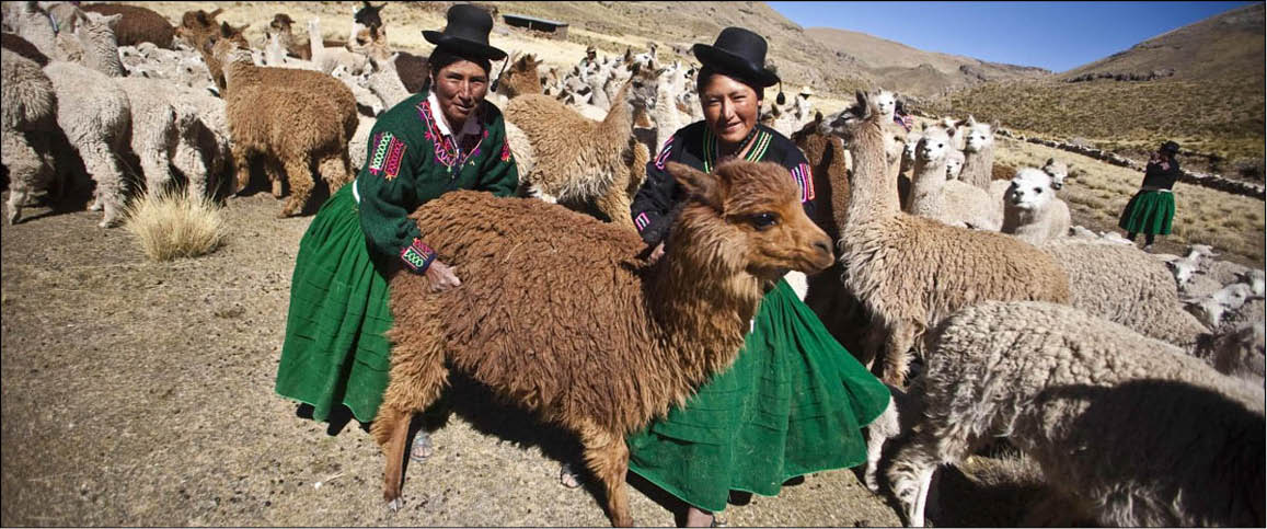 Kỷ niệm Ngày Quốc tế phụ nữ nông thôn