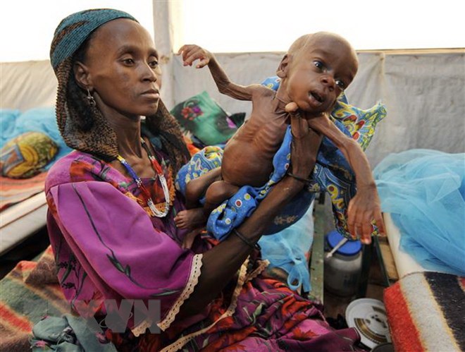 Có thể sắp xảy ra một nạn đói trên quy mô toàn cầu