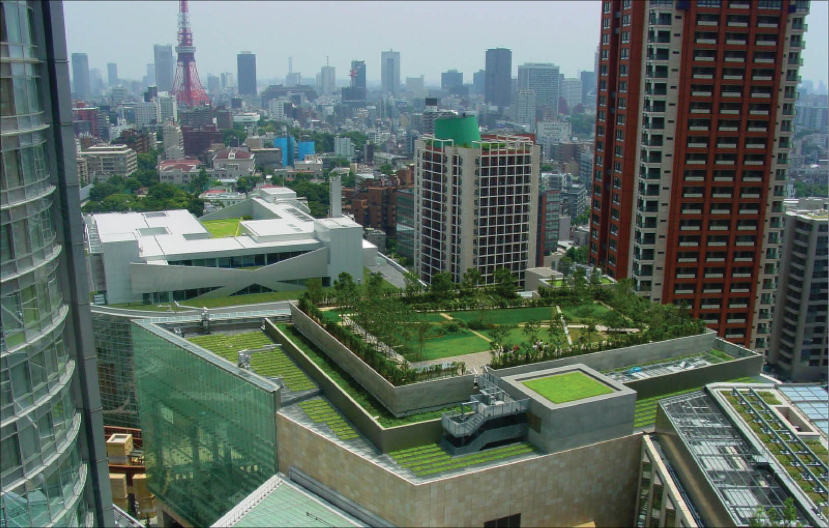 “Nơi tài chính gặp các thị trường khí hậu”