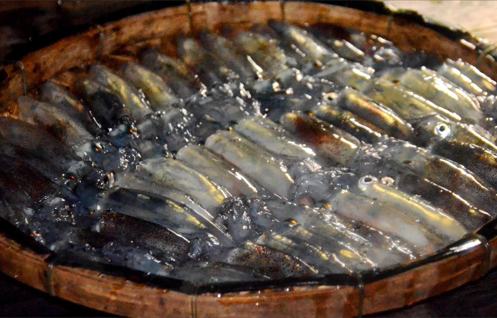 Diligence makes it possible for fishermen to become wealthy