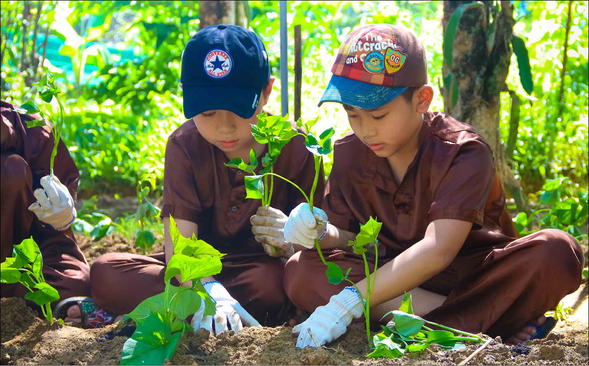 Hình thành thói quen tích cực cho trẻ