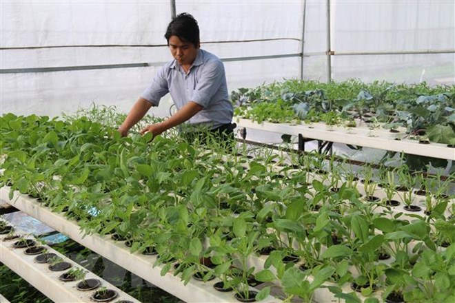 Ấn Độ-Việt Nam thúc đẩy thương mại 2 chiều lên 15 tỷ USD vào năm 2020